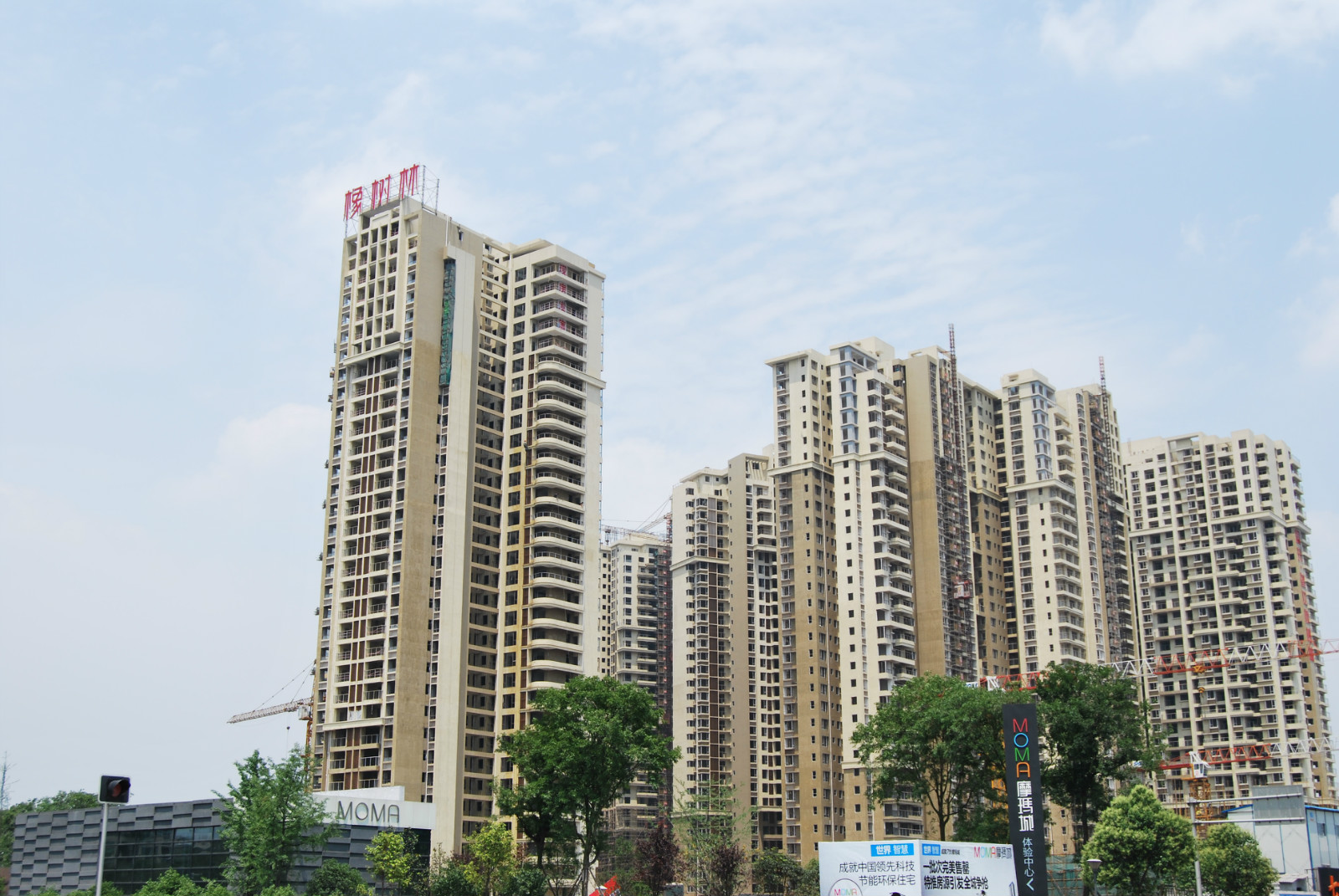 城北橡樹林